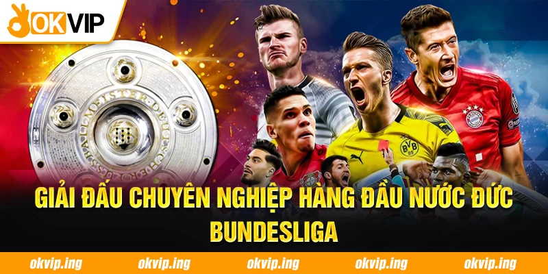 Giải đấu chuyên nghiệp hàng đầu nước Đức - Bundesliga