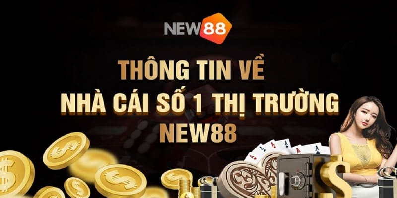 Đôi nét tổng quan về đối tác của OKVIP - New88