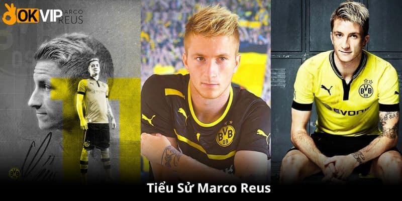 Thông tin tiểu sử Marco Reus