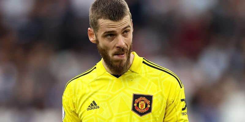 David de Gea là cầu thủ khá nổi bật